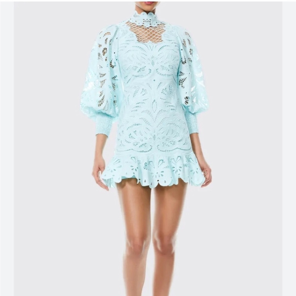 Alice + Olivia Yazmin Short Fit-and-Flare Eyelet Dress